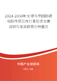 2024-2030年全球與中國巨磁電阻傳感芯片行業(yè)現(xiàn)狀全面調(diào)研與發(fā)展趨勢分析報告