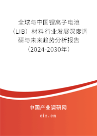 全球與中國鋰離子電池（LIB）材料行業(yè)發(fā)展深度調(diào)研與未來趨勢(shì)分析報(bào)告（2024-2030年）
