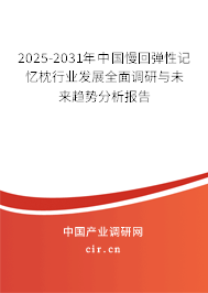 2025-2031年中國慢回彈性記憶枕行業(yè)發(fā)展全面調(diào)研與未來趨勢分析報告