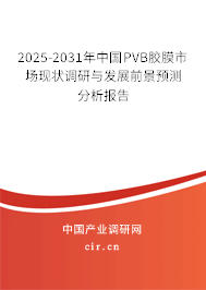 2025-2031年中國(guó)PVB膠膜市場(chǎng)現(xiàn)狀調(diào)研與發(fā)展前景預(yù)測(cè)分析報(bào)告