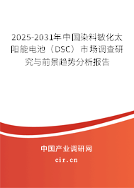 2025-2031年中國染料敏化太陽能電池（DSC）市場調(diào)查研究與前景趨勢分析報告
