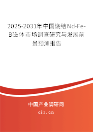 2025-2031年中國燒結(jié)Nd-Fe-B磁體市場調(diào)查研究與發(fā)展前景預測報告