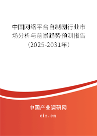 中國網(wǎng)絡(luò)平臺自制劇行業(yè)市場分析與前景趨勢預(yù)測報告（2025-2031年）