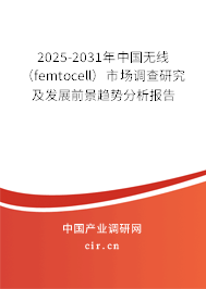 2025-2031年中國無線（femtocell）市場調(diào)查研究及發(fā)展前景趨勢分析報(bào)告