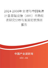 2024-2030年全球與中國先進(jìn)計量基礎(chǔ)設(shè)施（AMI）市場現(xiàn)狀研究分析與發(fā)展前景預(yù)測報告