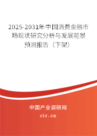 2025-2031年中國消費金融市場現(xiàn)狀研究分析與發(fā)展前景預(yù)測報告（下架）
