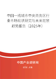 中國一線城市中央商務(wù)區(qū)行業(yè)市場現(xiàn)狀研究與未來前景趨勢報告（2025年）