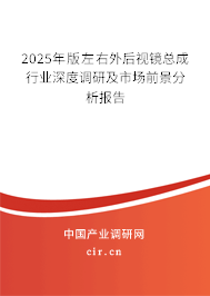 2025年版左右外后視鏡總成行業(yè)深度調(diào)研及市場(chǎng)前景分析報(bào)告