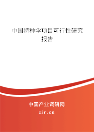 中國特種傘項(xiàng)目可行性研究報(bào)告