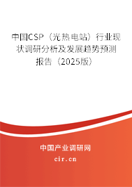 中國CSP（光熱電站）行業(yè)現(xiàn)狀調(diào)研分析及發(fā)展趨勢預(yù)測報(bào)告（2025版）