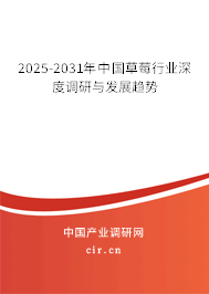 2025-2031年中國草莓行業(yè)深度調(diào)研與發(fā)展趨勢