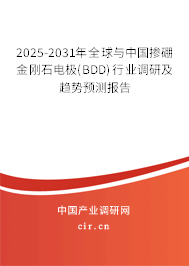 2025-2031年全球與中國摻硼金剛石電極(BDD)行業(yè)調(diào)研及趨勢預(yù)測報告