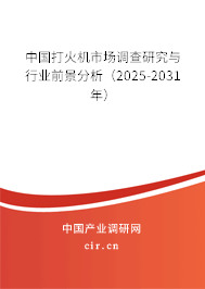 中國打火機(jī)市場調(diào)查研究與行業(yè)前景分析（2025-2031年）