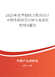 2025年版中國電力勘測設(shè)計市場專題研究分析與發(fā)展前景預(yù)測報告