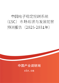 中國(guó)電子穩(wěn)定控制系統(tǒng)（ESC）市場(chǎng)現(xiàn)狀與發(fā)展前景預(yù)測(cè)報(bào)告（2025-2031年）