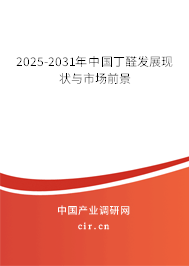 2025-2031年中國丁醛發(fā)展現(xiàn)狀與市場前景