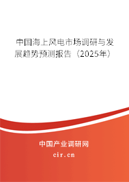 中國海上風電市場調研與發(fā)展趨勢預測報告（2025年）
