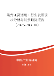 黑龍江靈活用工行業(yè)發(fā)展現(xiàn)狀分析與前景趨勢報(bào)告（2025-2031年）