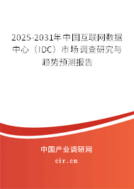 2025-2031年中國互聯(lián)網(wǎng)數(shù)據(jù)中心（IDC）市場調(diào)查研究與趨勢預(yù)測報(bào)告