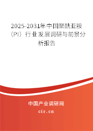 2025-2031年中國(guó)聚酰亞胺（PI）行業(yè)發(fā)展調(diào)研與前景分析報(bào)告