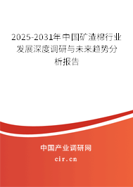 2025-2031年中國(guó)礦渣棉行業(yè)發(fā)展深度調(diào)研與未來(lái)趨勢(shì)分析報(bào)告