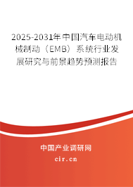 2025-2031年中國汽車電動機械制動（EMB）系統(tǒng)行業(yè)發(fā)展研究與前景趨勢預(yù)測報告