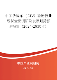 中國(guó)沙灘車（ATV）輪胎行業(yè)現(xiàn)狀全面調(diào)研及發(fā)展趨勢(shì)預(yù)測(cè)報(bào)告（2024-2030年）