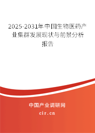 2025-2031年中國生物醫(yī)藥產(chǎn)業(yè)集群發(fā)展現(xiàn)狀與前景分析報(bào)告