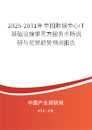 2025-2031年中國(guó)數(shù)據(jù)中心IT基礎(chǔ)設(shè)施第三方服務(wù)市場(chǎng)調(diào)研與前景趨勢(shì)預(yù)測(cè)報(bào)告