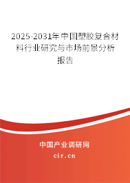 2025-2031年中國塑膠復(fù)合材料行業(yè)研究與市場前景分析報(bào)告