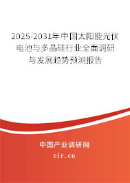 2025-2031年中國太陽能光伏電池與多晶硅行業(yè)全面調(diào)研與發(fā)展趨勢預(yù)測報告