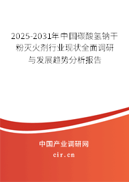 2025-2031年中國碳酸氫鈉干粉滅火劑行業(yè)現(xiàn)狀全面調(diào)研與發(fā)展趨勢分析報(bào)告