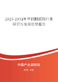 2025-2031年中國糖醛酸行業(yè)研究與發(fā)展前景報告