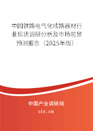 中國(guó)鐵路電氣化線路器材行業(yè)現(xiàn)狀調(diào)研分析及市場(chǎng)前景預(yù)測(cè)報(bào)告（2025年版）