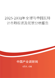 2025-2031年全球與中國瓦特計市場現(xiàn)狀及前景分析報告