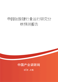 中國鈦酸鋰行業(yè)運行研究分析預測報告