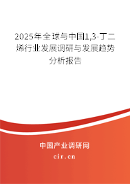 2025年全球與中國1,3-丁二烯行業(yè)發(fā)展調(diào)研與發(fā)展趨勢分析報(bào)告