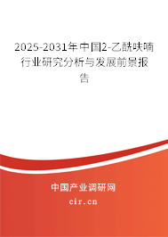 2025-2031年中國2-乙酰呋喃行業(yè)研究分析與發(fā)展前景報告