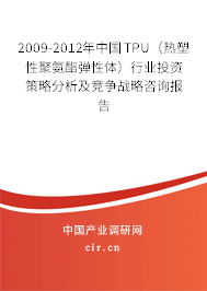 2009-2012年中國TPU（熱塑性聚氨酯彈性體）行業(yè)投資策略分析及競爭戰(zhàn)略咨詢報(bào)告