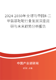 2024-2030年全球與中國(guó)4-二甲氨基吡啶行業(yè)發(fā)展深度調(diào)研與未來(lái)趨勢(shì)分析報(bào)告