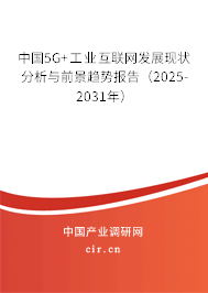 中國5G+工業(yè)互聯(lián)網(wǎng)發(fā)展現(xiàn)狀分析與前景趨勢(shì)報(bào)告（2025-2031年）