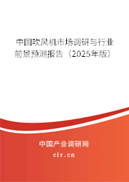 中國(guó)吹風(fēng)機(jī)市場(chǎng)調(diào)研與行業(yè)前景預(yù)測(cè)報(bào)告（2025年版）