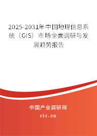 2025-2031年中國地理信息系統(tǒng)（GIS）市場全面調(diào)研與發(fā)展趨勢報(bào)告