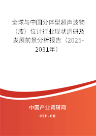 全球與中國分體型超聲波物（液）位計行業(yè)現(xiàn)狀調(diào)研及發(fā)展前景分析報告（2025-2031年）