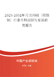 2025-2031年河北純堿（碳酸鈉）行業(yè)市場調(diào)研與發(fā)展趨勢報告