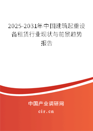 2025-2031年中國建筑起重設(shè)備租賃行業(yè)現(xiàn)狀與前景趨勢(shì)報(bào)告