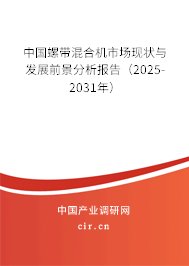 中國(guó)螺帶混合機(jī)市場(chǎng)現(xiàn)狀與發(fā)展前景分析報(bào)告（2025-2031年）