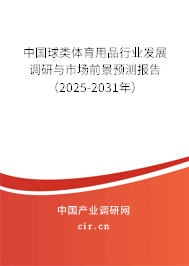 中國球類體育用品行業(yè)發(fā)展調(diào)研與市場前景預(yù)測報(bào)告（2025-2031年）