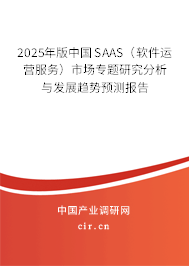 2025年版中國SAAS（軟件運營服務）市場專題研究分析與發(fā)展趨勢預測報告