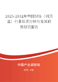 2025-2031年中國STB（機(jī)頂盒）行業(yè)現(xiàn)狀分析與發(fā)展趨勢研究報(bào)告